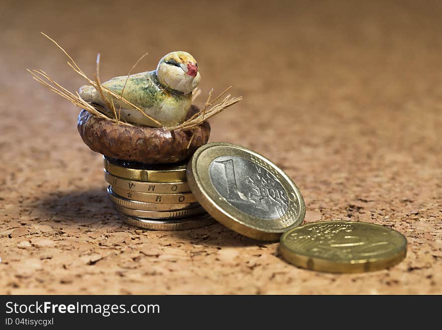 Bird nest on money