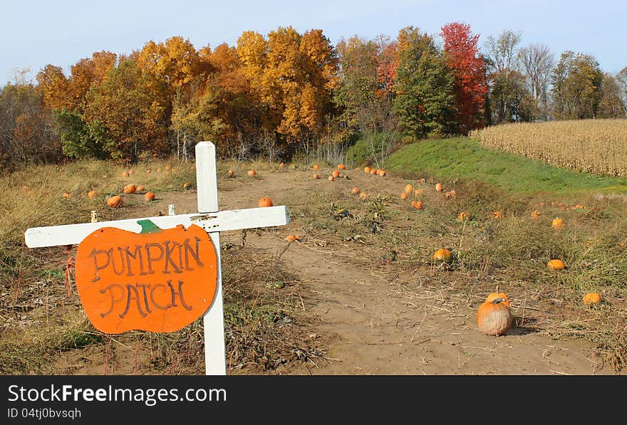 Colorful Sign Saying Pumpkin Patch