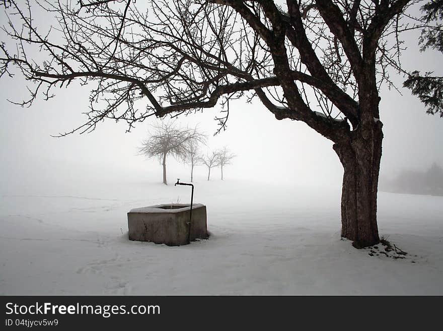 A cold winter's day in Bavaria (Germany). A cold winter's day in Bavaria (Germany)