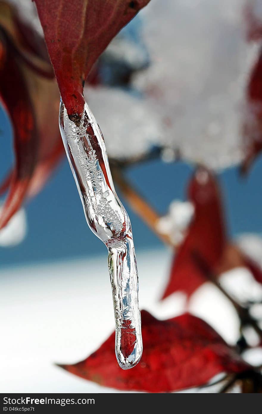 If the winter already begins in October, icicles hang on the sheets