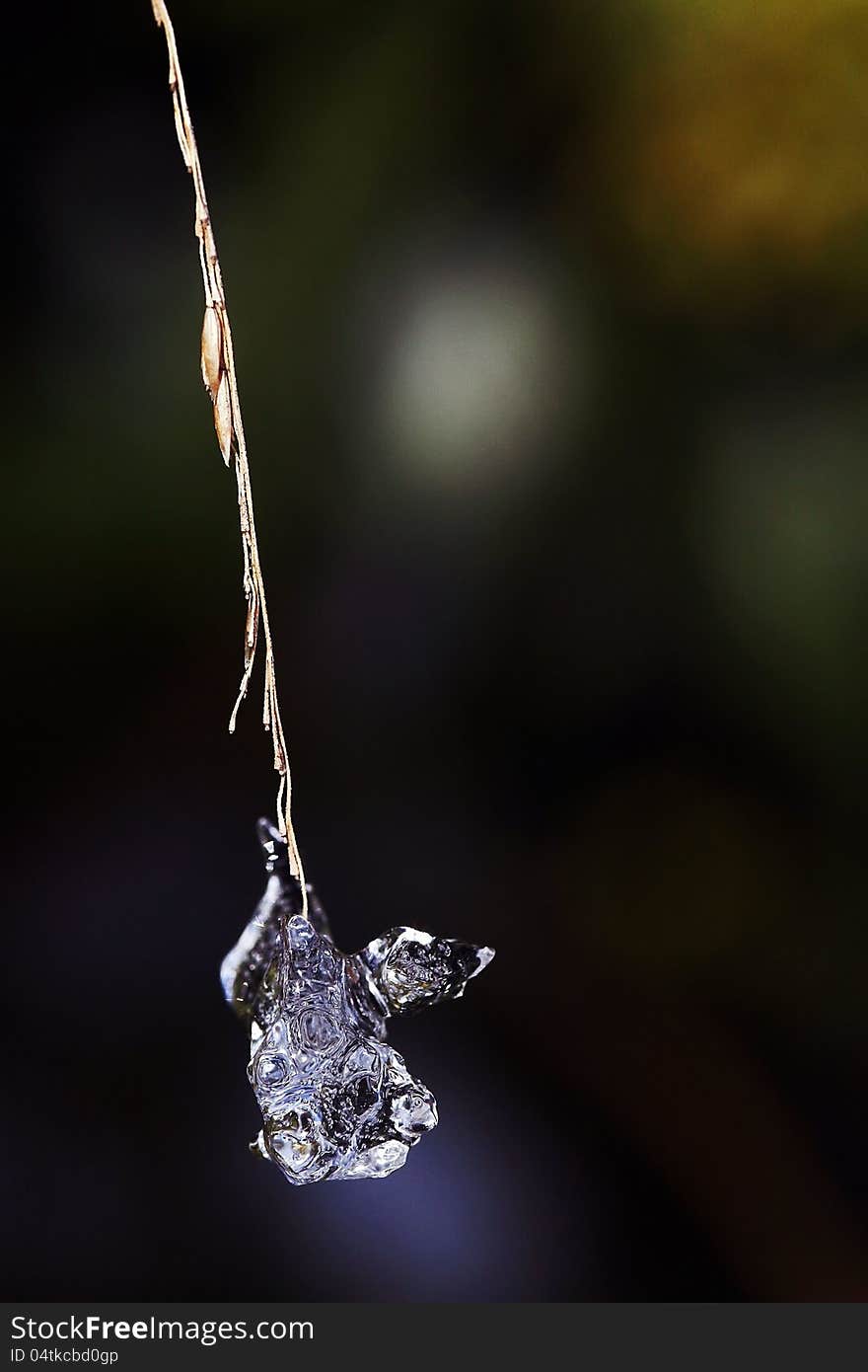 If the winter already begins in October, icicles hang on the sheets