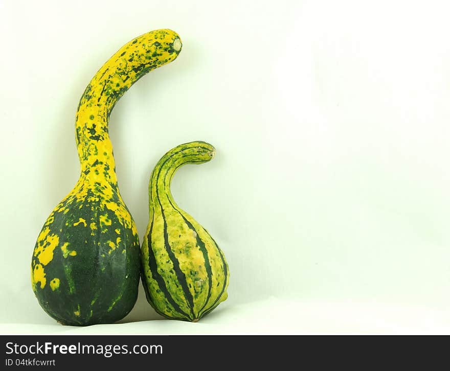 Autumn decorative pumpkins