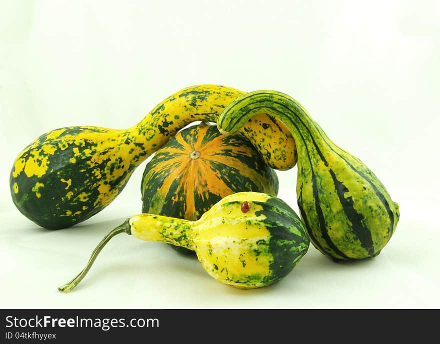 Autumn decorative pumpkins green yellow