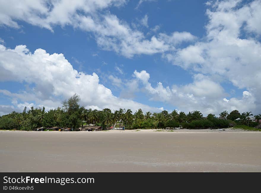 Palms on the beach on the Atlantic ocean in Senegal