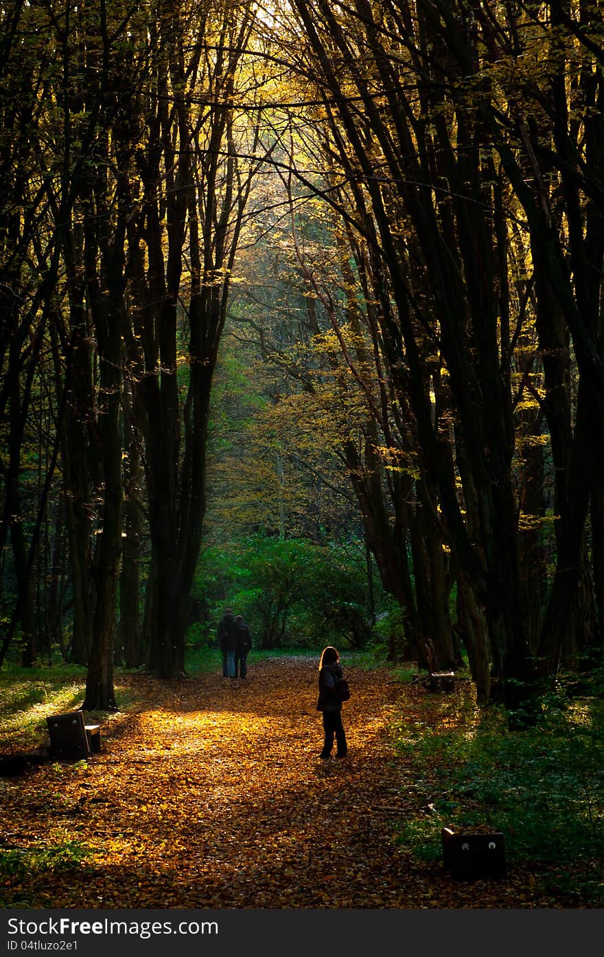 City park in autumn