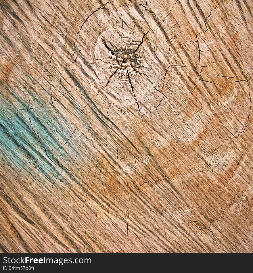 Cut of wood texture for background. Cut of wood texture for background