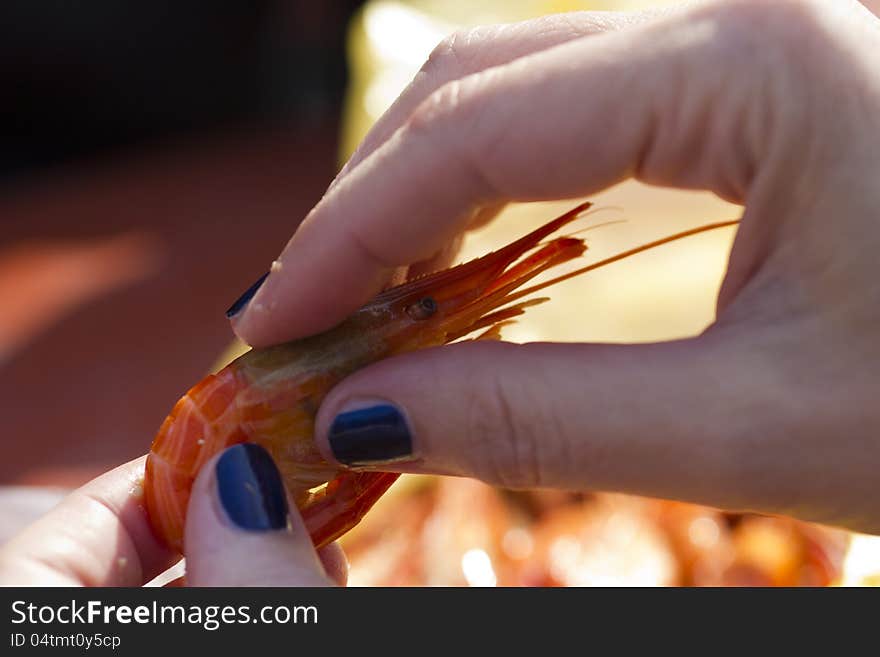 The shrimp in hands of the girl is going to be eaten