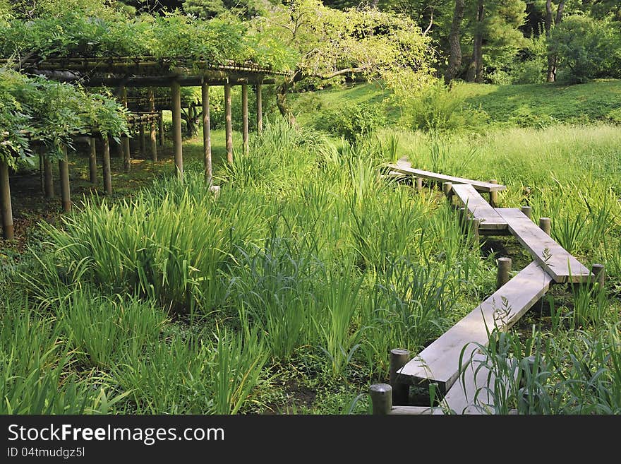 Wooden pathway on green grass meadow inside famous Korakuen park in Tokyo, Japan. Wooden pathway on green grass meadow inside famous Korakuen park in Tokyo, Japan