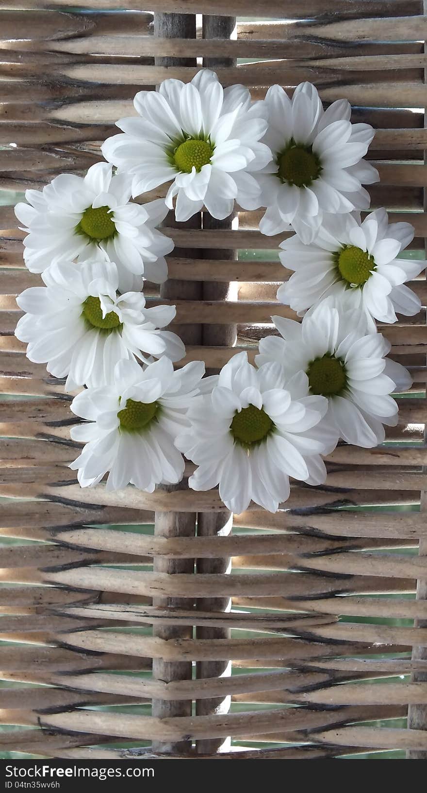 Daisy Wreath