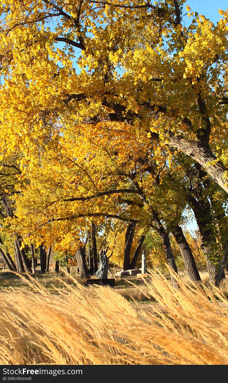 Trees and grass and statuary on a windy fall day. Trees and grass and statuary on a windy fall day.