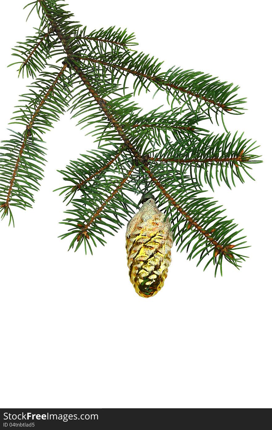 Fir branches with gilt cone toy for Christmas design on white