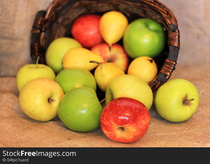 A basket of ripe apples and pears of different varieties