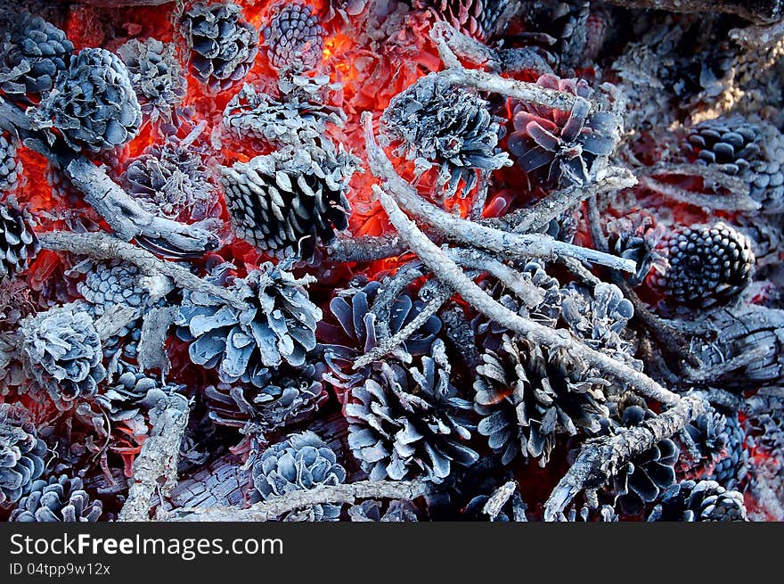 Red hot coals pine cones