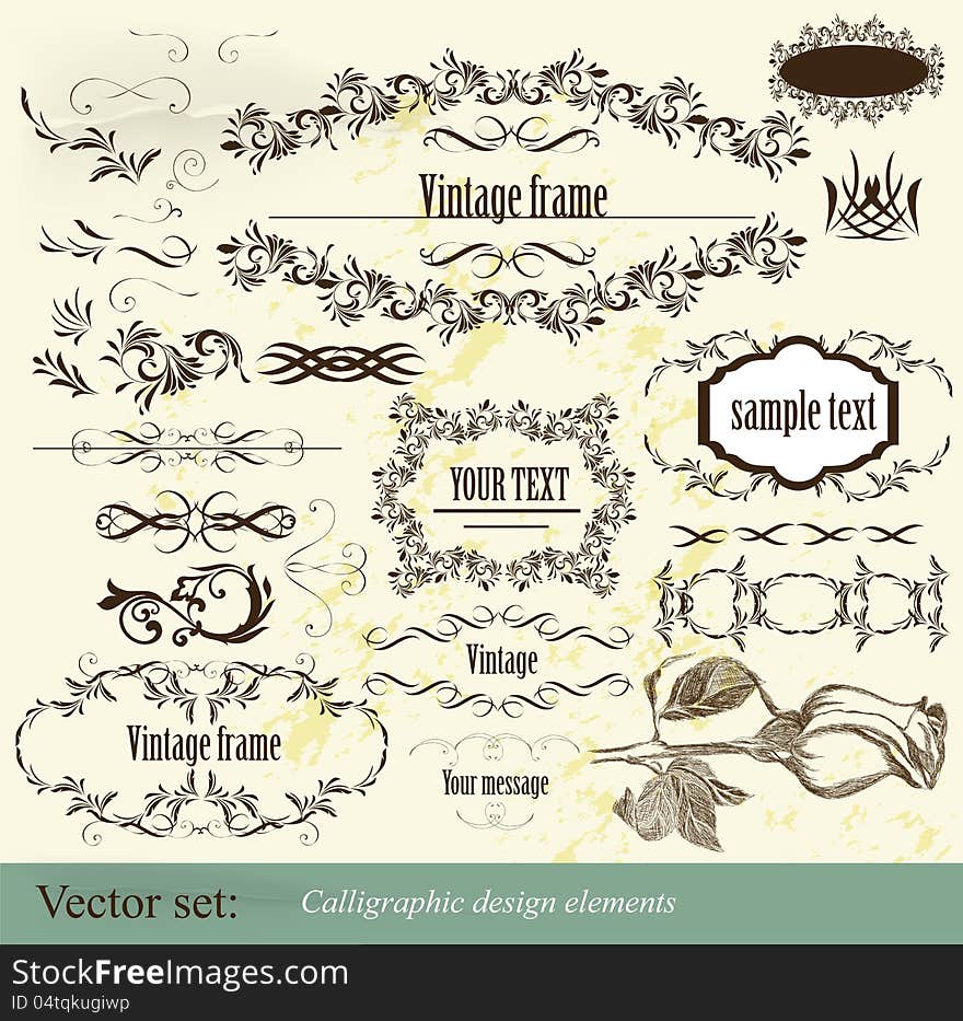 Decorative elements for elegant design. Calligraphic vector. Decorative elements for elegant design. Calligraphic vector