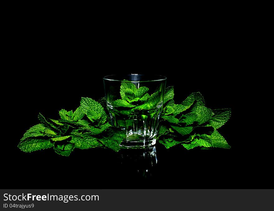 Leaves Mint in glass on black background. Leaves Mint in glass on black background