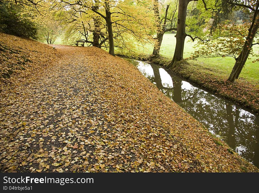 Engaging way yellow leaves in the park, stream flowing along the way