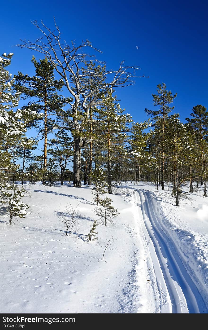 Cross-country track