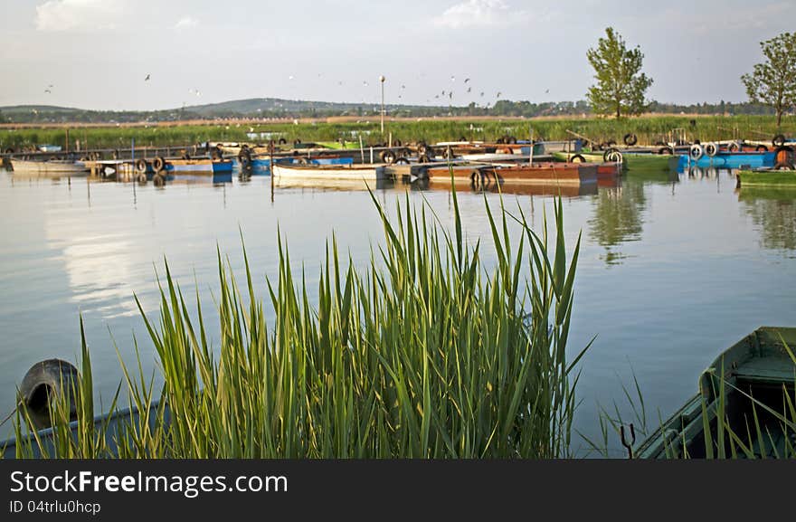 The Lake with Fishing Boats