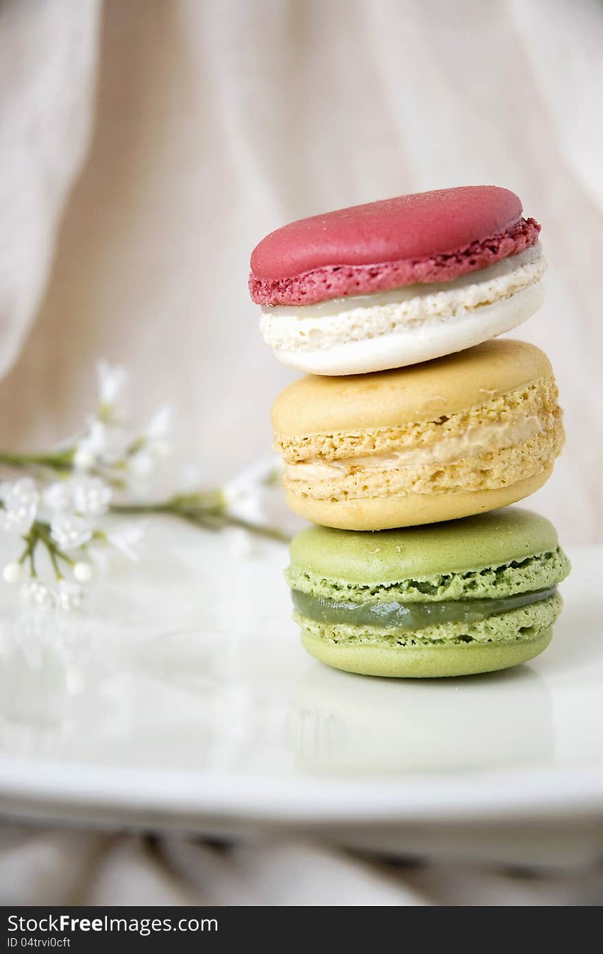 French macarons on white plate with little flowers background. French macarons on white plate with little flowers background