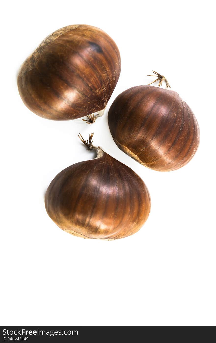 Nice shot of three chestnuts isolated on white background