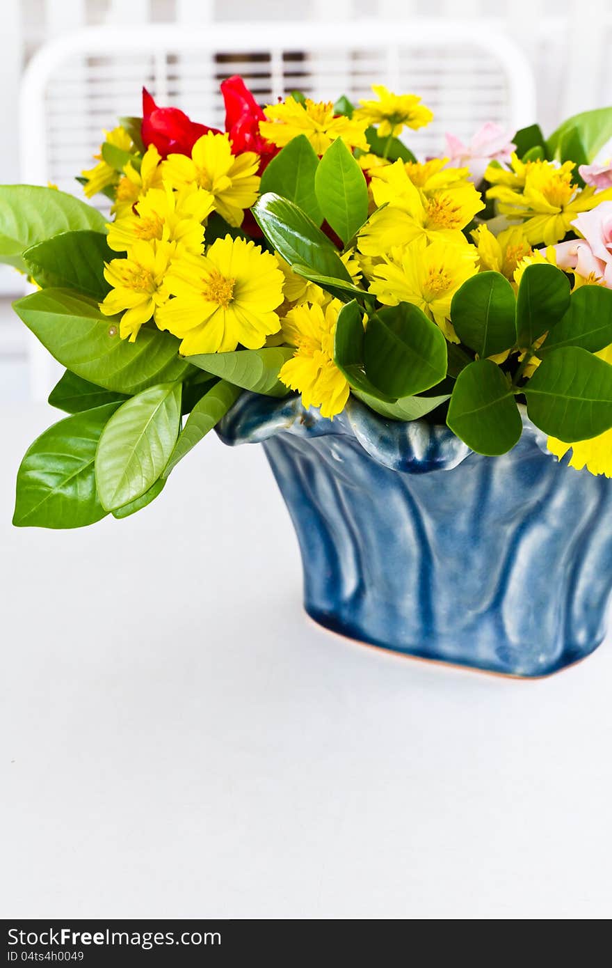 Yellow mexican daisy in blue ceramic vase