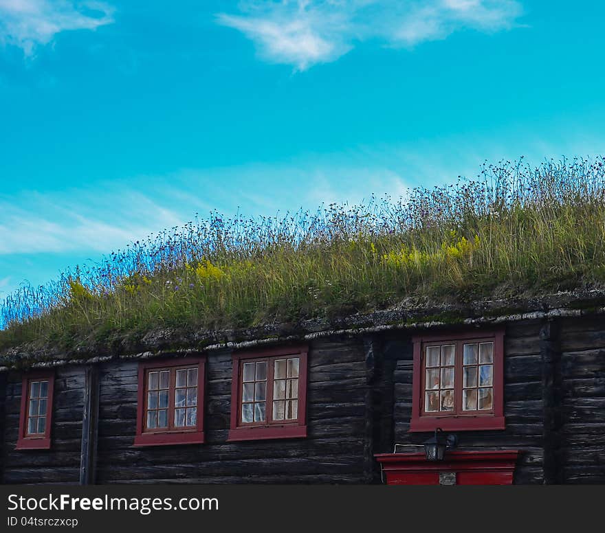 Old house with grass on roof