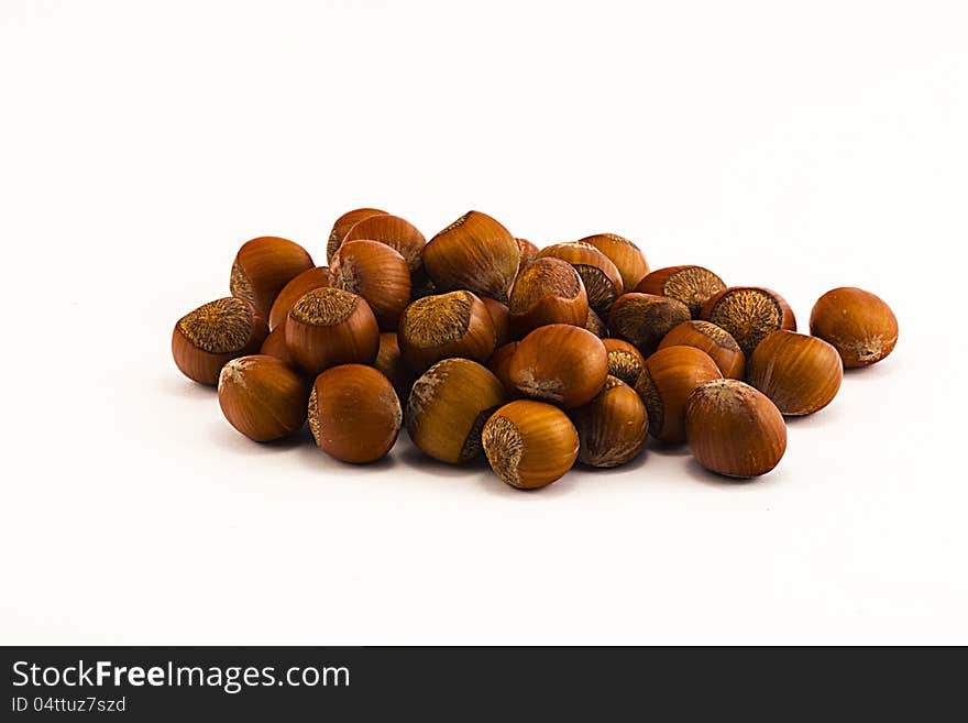 The hazel-nuts, on white background.