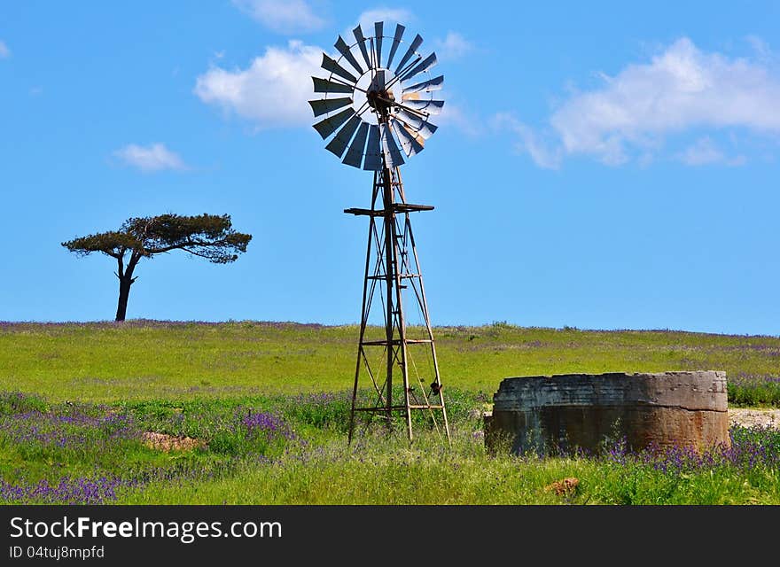 Landscape with windmill water pump on a farm swartland south africa