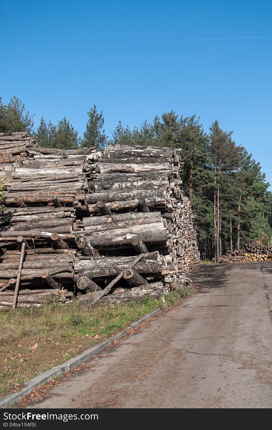 Stockpile. Used as bio fuel in boiler-house.