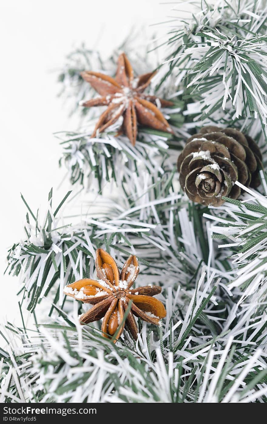 Star anise and pine cones on the branches of trees. Star anise and pine cones on the branches of trees