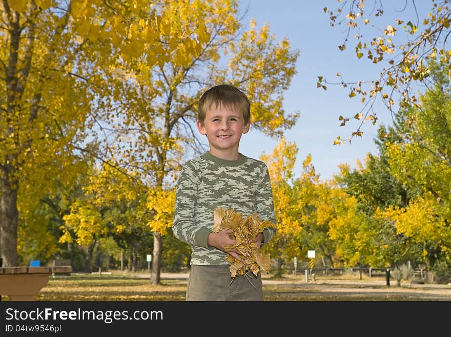 Little boy plays with colorful leaves in air