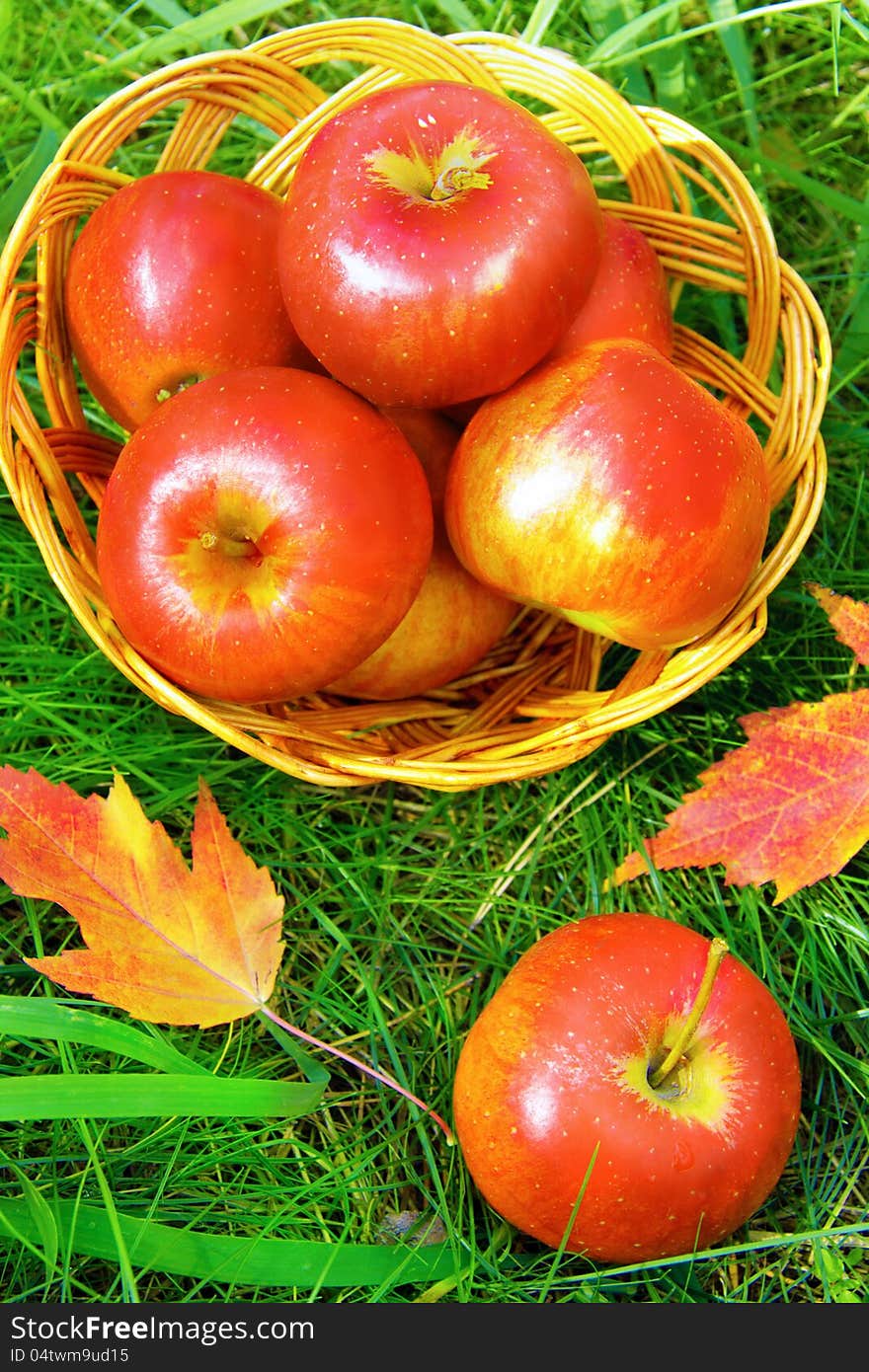 Apples in a basket on a background of green grass