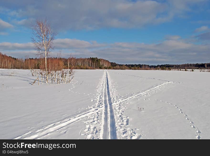 Ski track in a field