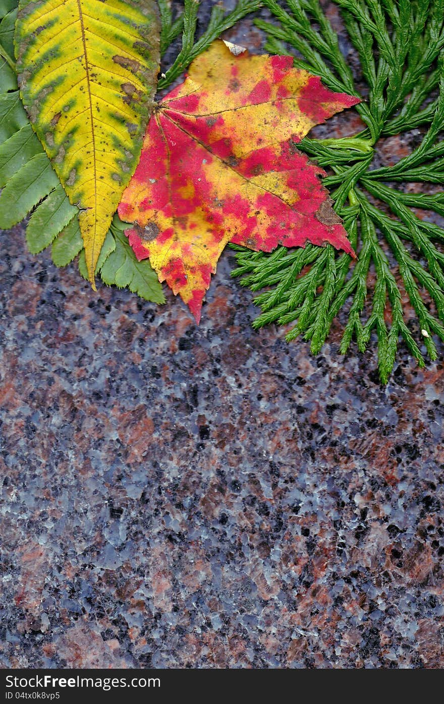 Fall leaf arrangement with granite back. Fall leaf arrangement with granite back