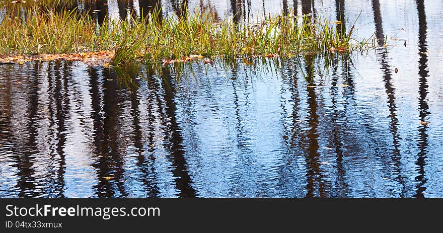 Reflections of black tree trunks in the Looking Glass River. Reflections of black tree trunks in the Looking Glass River