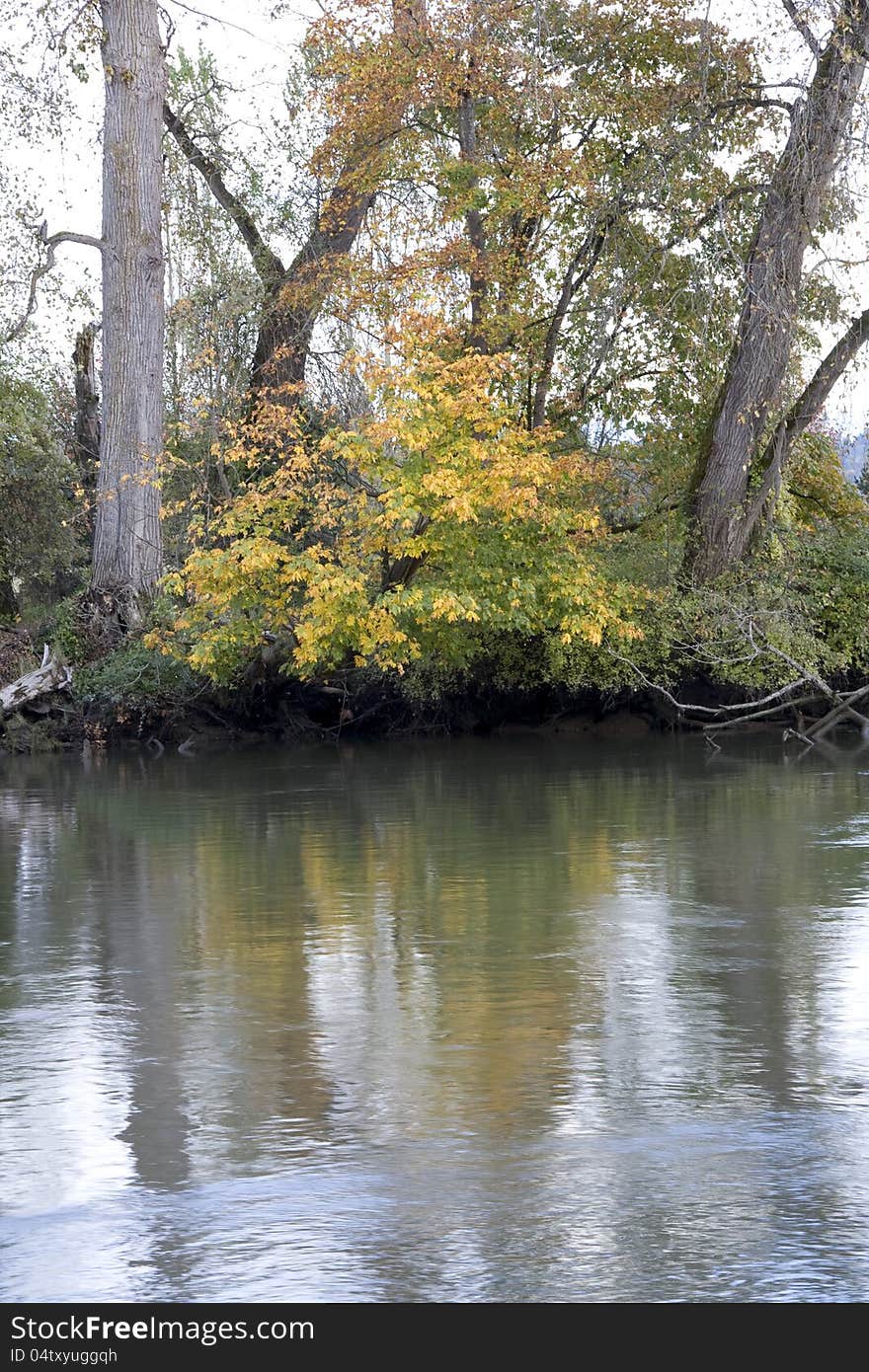 Autumn charm at Snohomish River