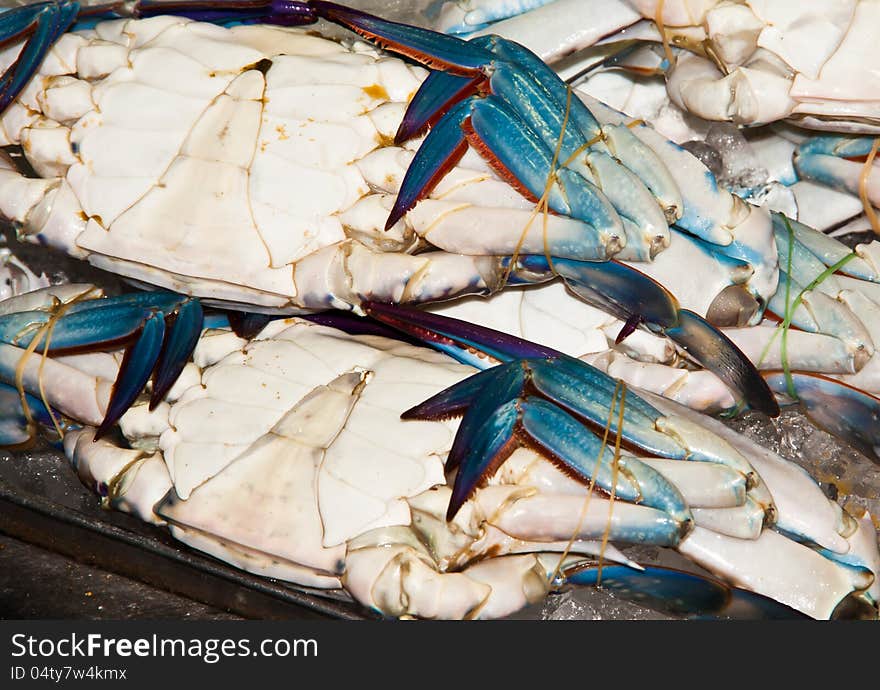 Sea crab was taken from the sea and immersed in ice in a plastic tray.