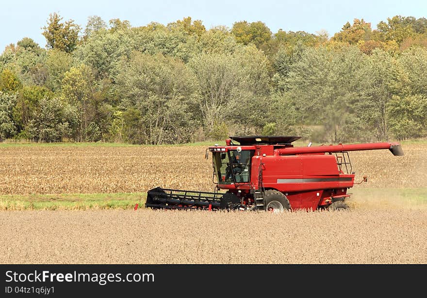 Red combine harvesting a crop of soybeans. Red combine harvesting a crop of soybeans