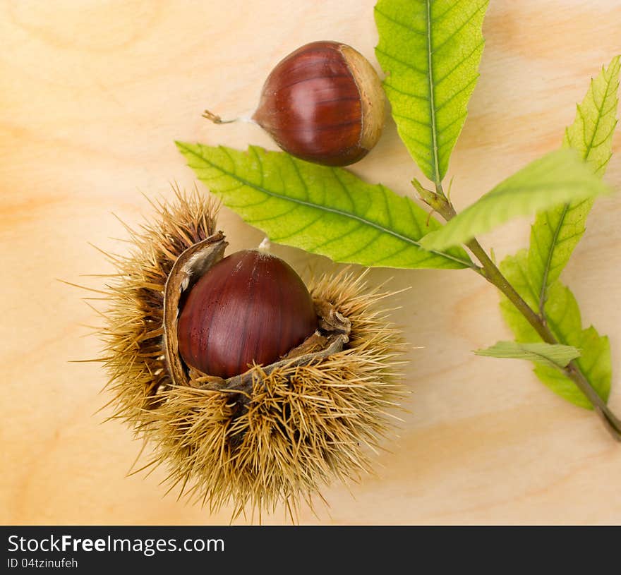 Fall has arrived with autumn forest fruits. Fall has arrived with autumn forest fruits