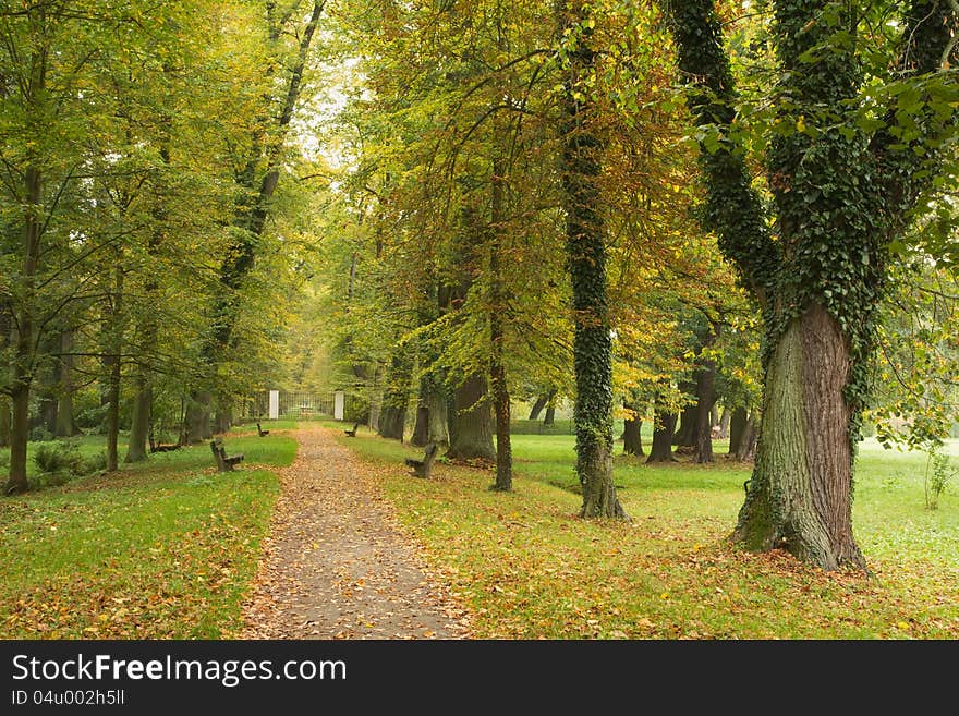 Autumn park, path lined with benches, fallen leaves. Autumn park, path lined with benches, fallen leaves.