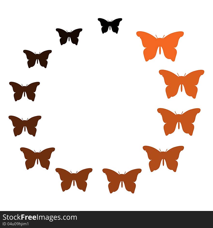 Colorful Butterfly mixed orange black in circle on white background