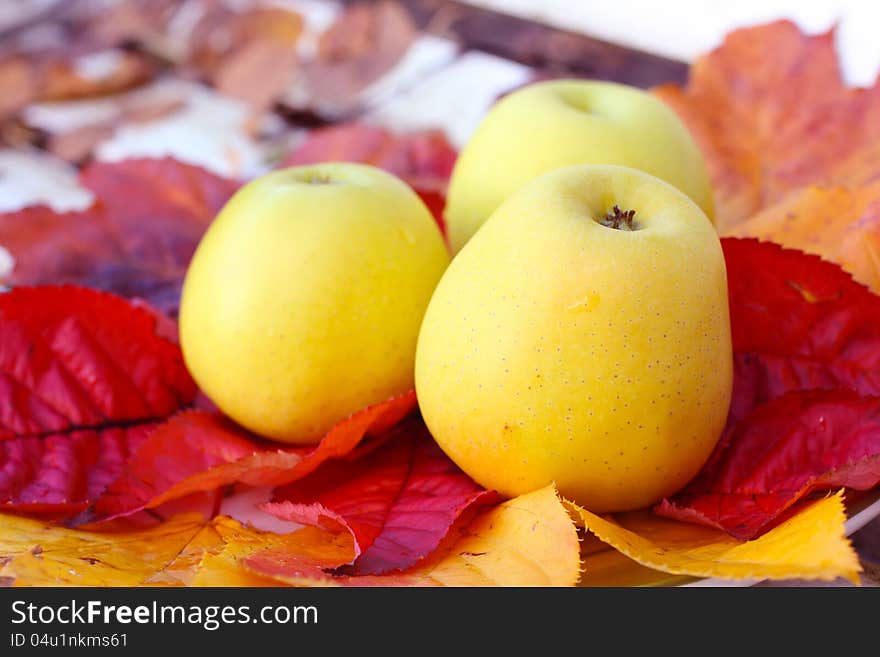 Ripe, green apples in the garden on a white bench, close up. Autumn time. Ripe, green apples in the garden on a white bench, close up. Autumn time