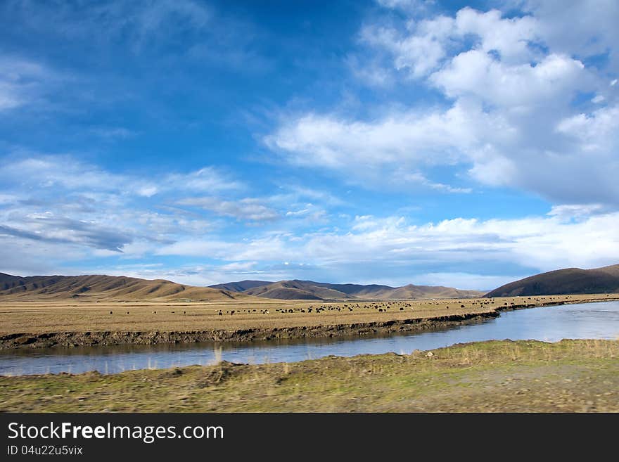 The landscape of White River in Ruoergai, Sichuan, China. The landscape of White River in Ruoergai, Sichuan, China