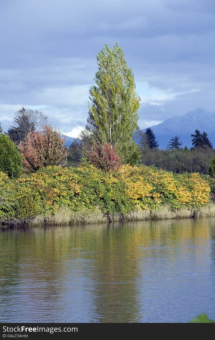 Beautiful fall colors of Snohomish River, Washington State, USA. Beautiful fall colors of Snohomish River, Washington State, USA