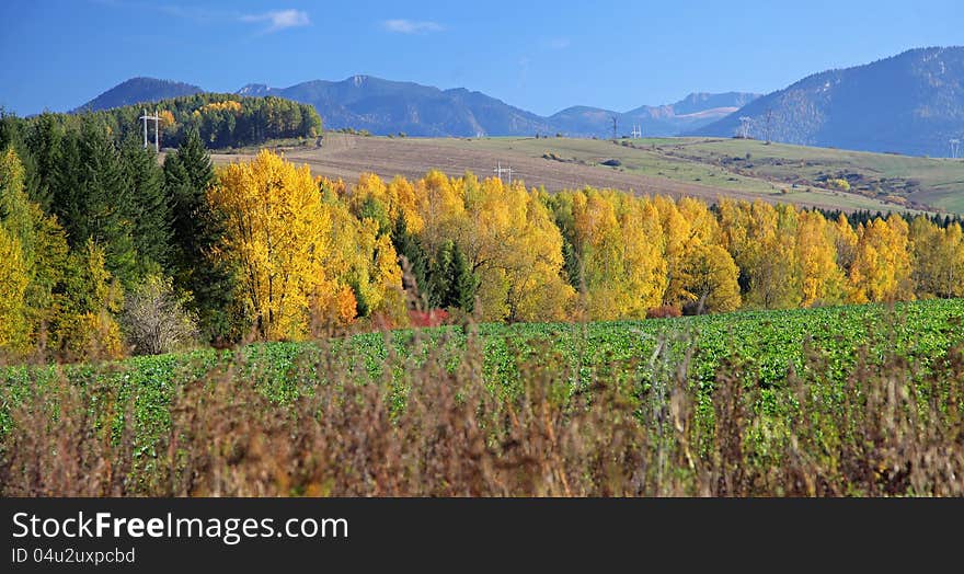 Autumn trees in region Liptov, Slovakia