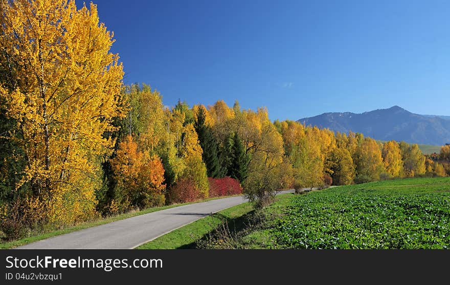 Autumn trees in region Liptov, Slovakia