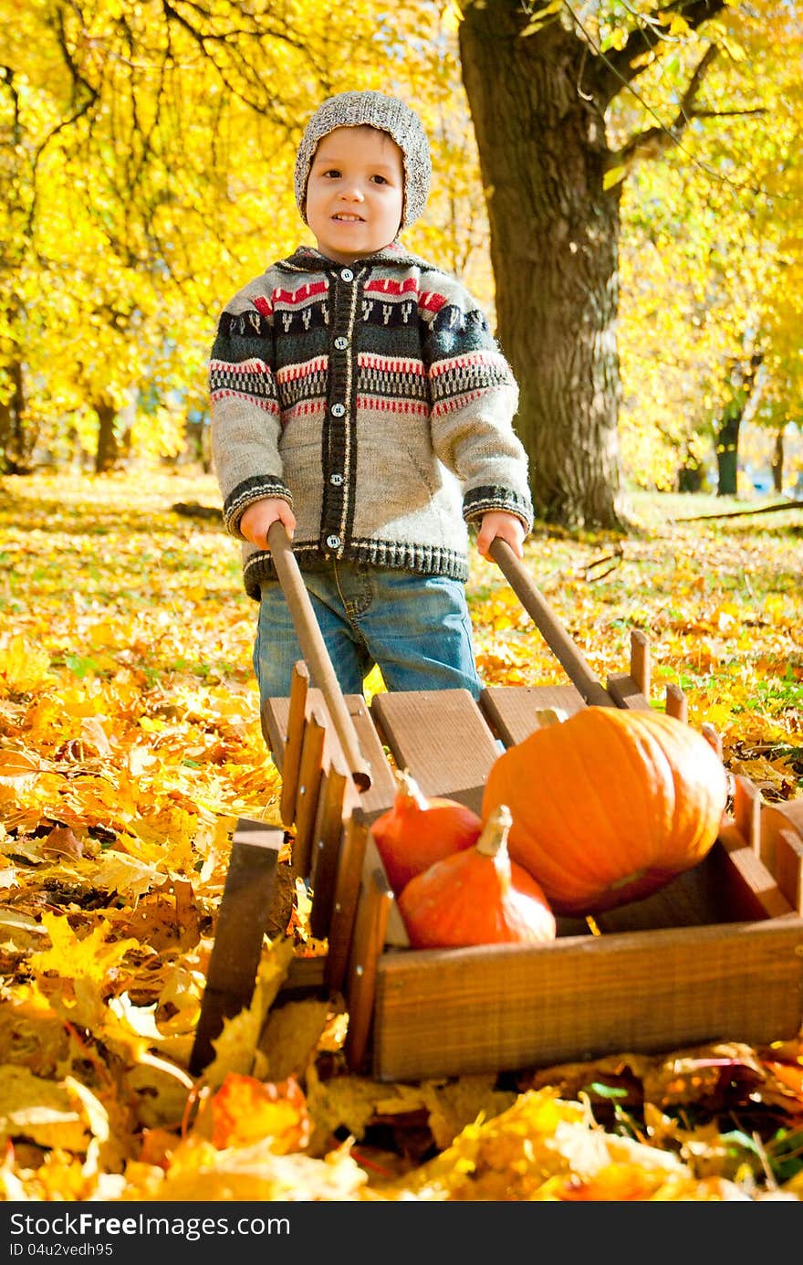 Little child with a wheelbarrow full of pumpkin