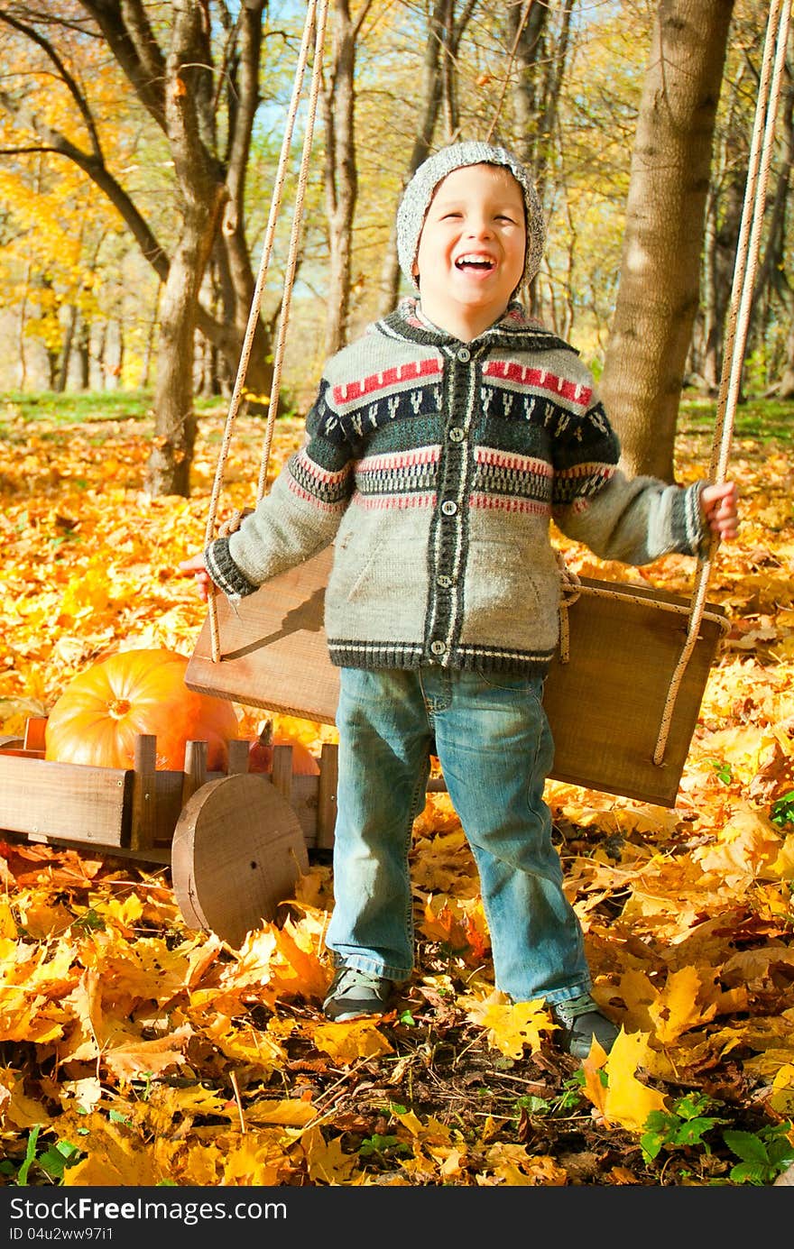 Excited little boy on a swing outdoor, autumn leaves on background