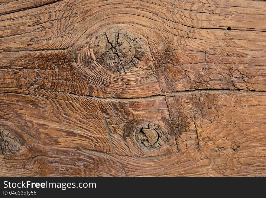 Background of old hardwood trees. Background of old hardwood trees.