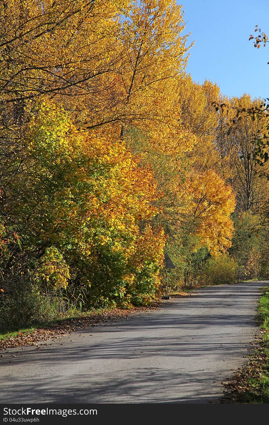 Autumn trees in region Liptov, Slovakia